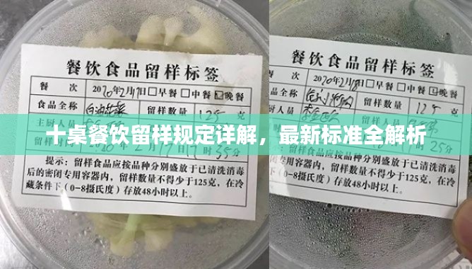 十桌餐饮留样规定详解，最新标准全解析