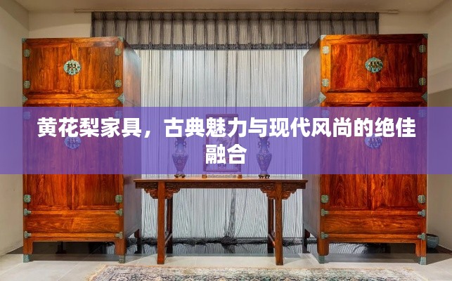 黄花梨家具，古典魅力与现代风尚的绝佳融合