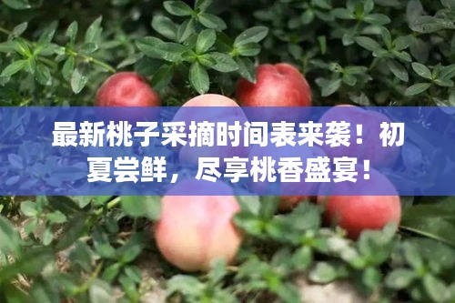 字斟句酌 第2页