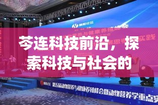 芩连科技前沿，探索科技与社会的交汇发展之道