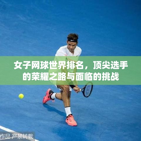 女子网球世界排名，顶尖选手的荣耀之路与面临的挑战
