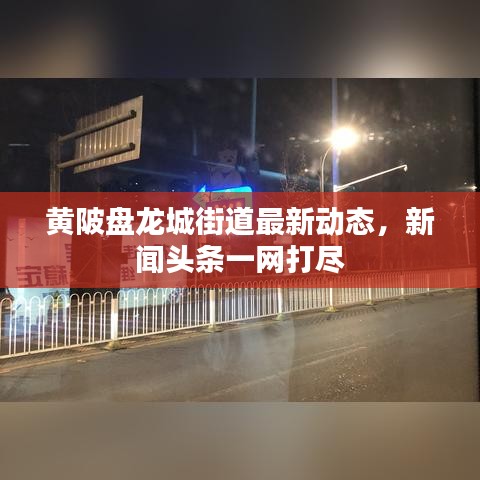 黄陂盘龙城街道最新动态，新闻头条一网打尽