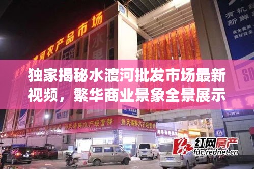 虫言鸟迹 第2页