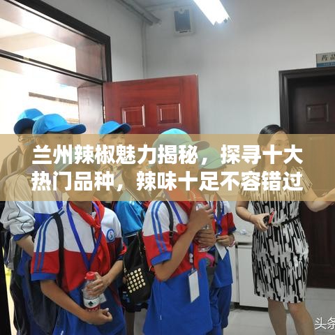 兰州辣椒魅力揭秘，探寻十大热门品种，辣味十足不容错过