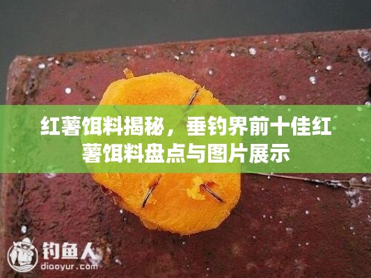 红薯饵料揭秘，垂钓界前十佳红薯饵料盘点与图片展示