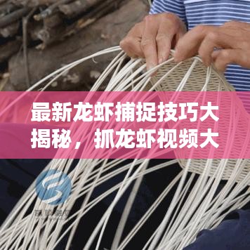 最新龙虾捕捉技巧大揭秘，抓龙虾视频大全，体验乐趣无限！