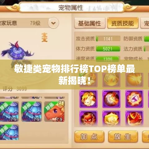 敏捷类宠物排行榜TOP榜单最新揭晓！