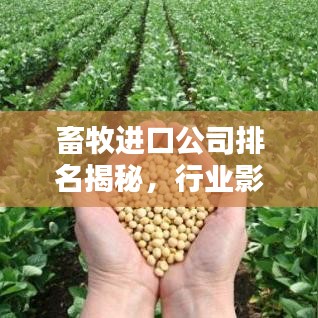 畜牧进口公司排名揭秘，行业影响力深度解析