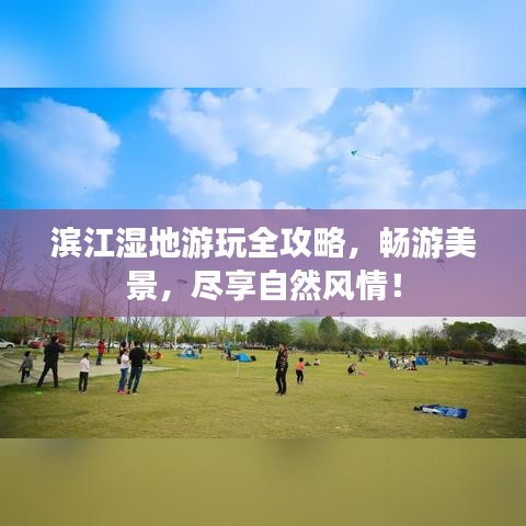 百鸟朝凤 第2页