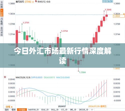 今日外汇市场最新行情深度解读