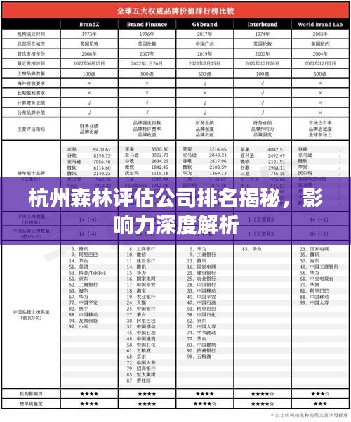 杭州森林评估公司排名揭秘，影响力深度解析