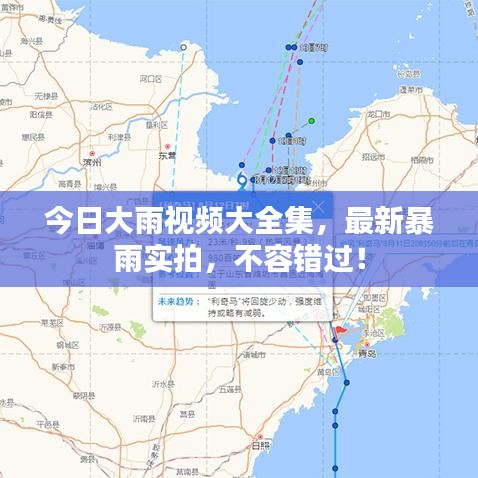 今日大雨视频大全集，最新暴雨实拍，不容错过！