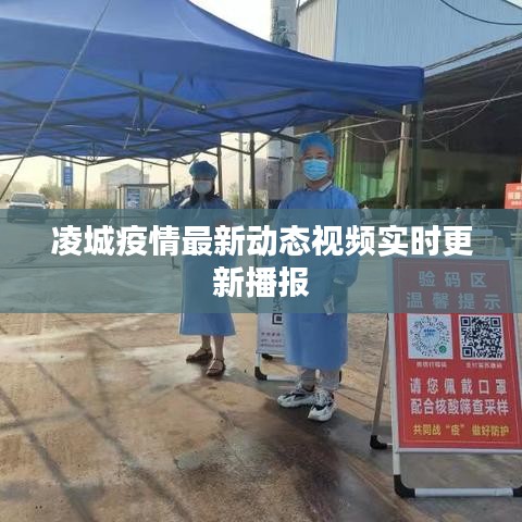 凌城疫情最新动态视频实时更新播报