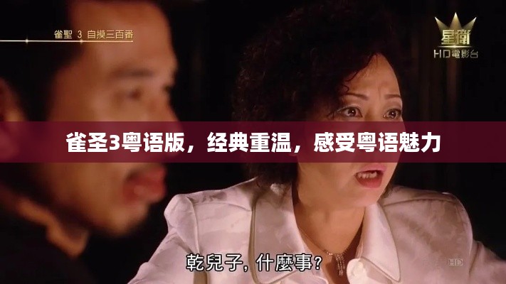 雀圣3粤语版，经典重温，感受粤语魅力