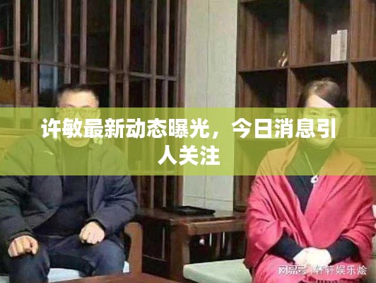 许敏最新动态曝光，今日消息引人关注