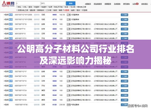 公明高分子材料公司行业排名及深远影响力揭秘