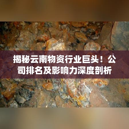 揭秘云南物资行业巨头！公司排名及影响力深度剖析