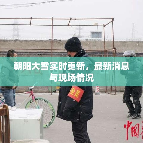 朝阳大雪实时更新，最新消息与现场情况