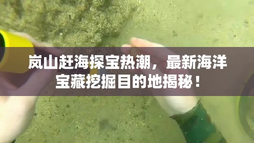 岚山赶海探宝热潮，最新海洋宝藏挖掘目的地揭秘！