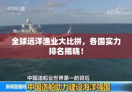全球远洋渔业大比拼，各国实力排名揭晓！
