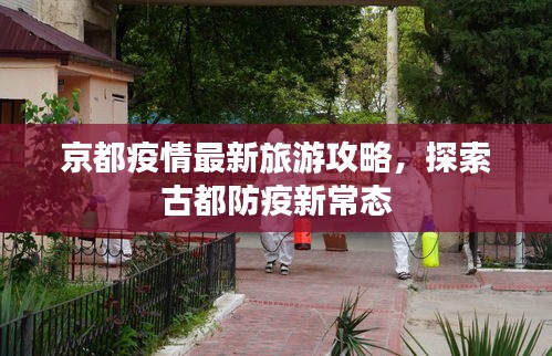 京都疫情最新旅游攻略，探索古都防疫新常态