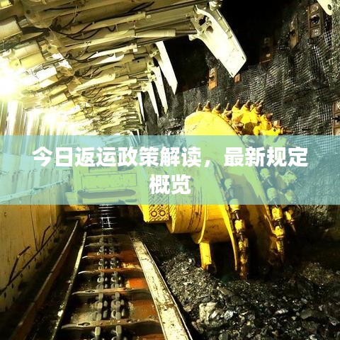 今日返运政策解读，最新规定概览