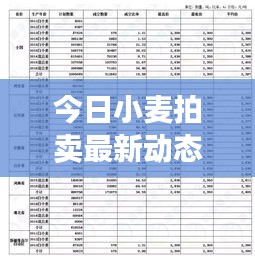 今日小麦拍卖最新动态，市场走势及前景展望