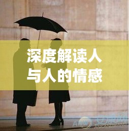 深度解读人与人的情感连接，心心相照的魅力