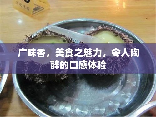 广味香，美食之魅力，令人陶醉的口感体验