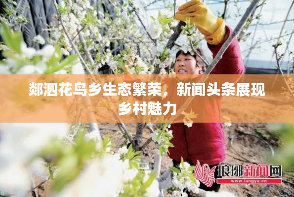 郯泗花鸟乡生态繁荣，新闻头条展现乡村魅力