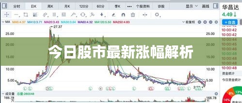 今日股市最新涨幅解析