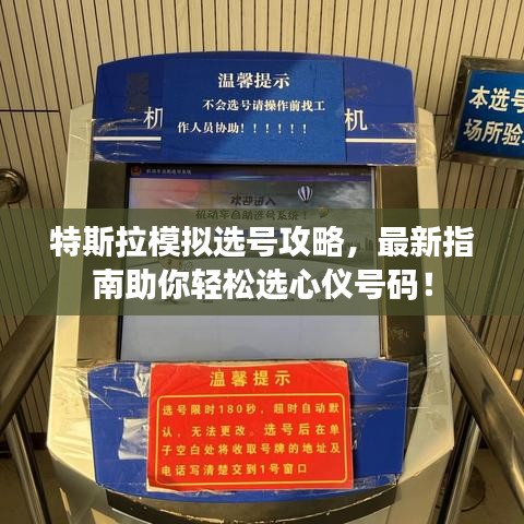 特斯拉模拟选号攻略，最新指南助你轻松选心仪号码！