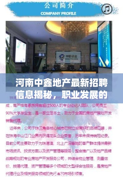 河南中鑫地产最新招聘信息揭秘，职业发展的理想新天地