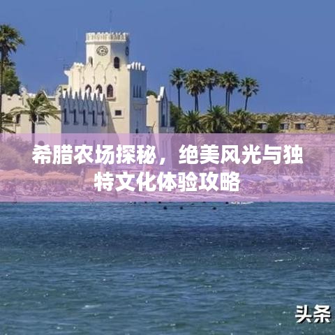 希腊农场探秘，绝美风光与独特文化体验攻略
