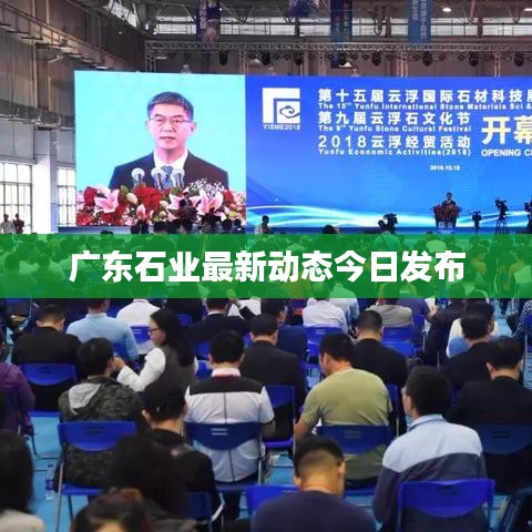 广东石业最新动态今日发布