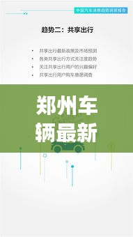 郑州车辆最新报告揭秘，今日交通状况全面解析