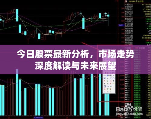 今日股票最新分析，市场走势深度解读与未来展望