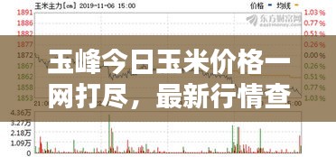 玉峰今日玉米价格一网打尽，最新行情查询
