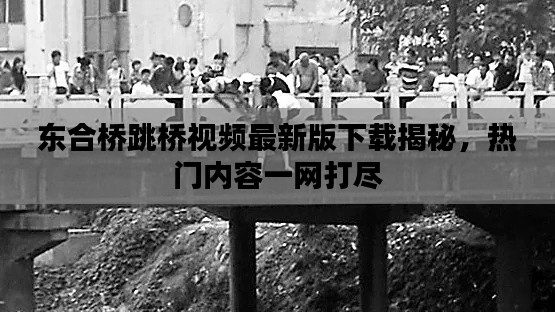 东合桥跳桥视频最新版下载揭秘，热门内容一网打尽