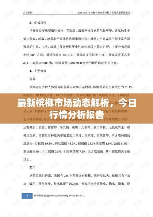 最新槟榔市场动态解析，今日行情分析报告