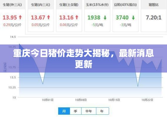 重庆今日猪价走势大揭秘，最新消息更新