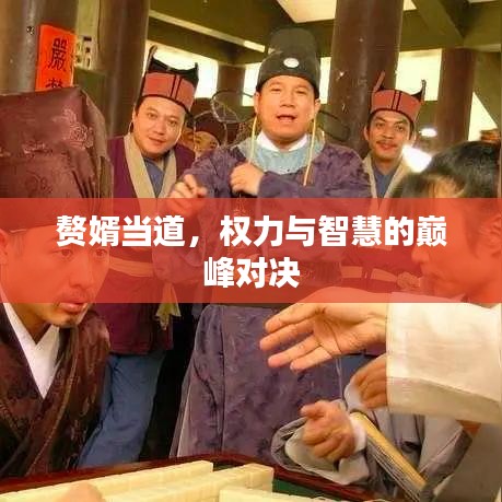 赘婿当道，权力与智慧的巅峰对决