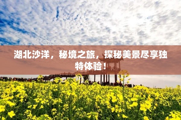 湖北沙洋，秘境之旅，探秘美景尽享独特体验！