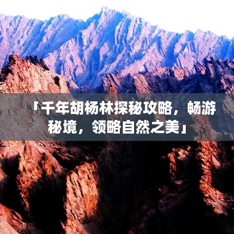 「千年胡杨林探秘攻略，畅游秘境，领略自然之美」
