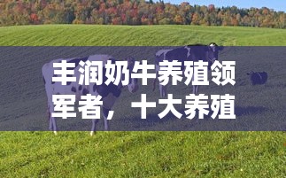 异口同声 第2页