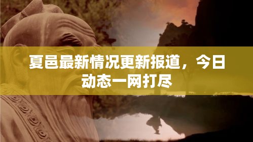 夏邑最新情况更新报道，今日动态一网打尽