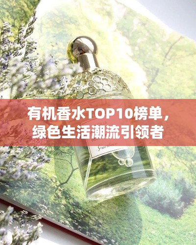 纲举目张 第2页