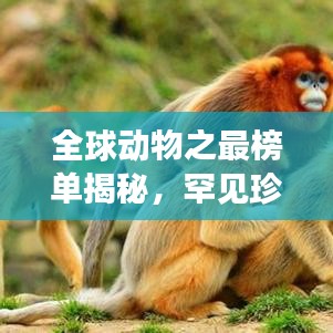全球动物之最榜单揭秘，罕见珍稀生物震撼排名！