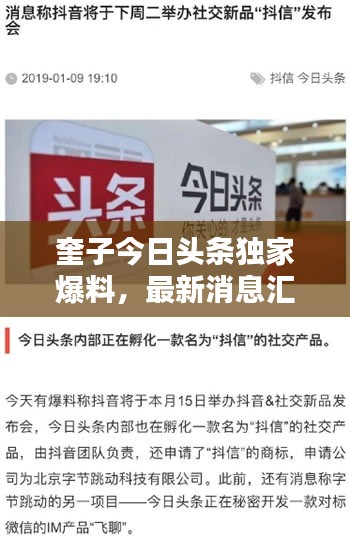 奎子今日头条独家爆料，最新消息汇总