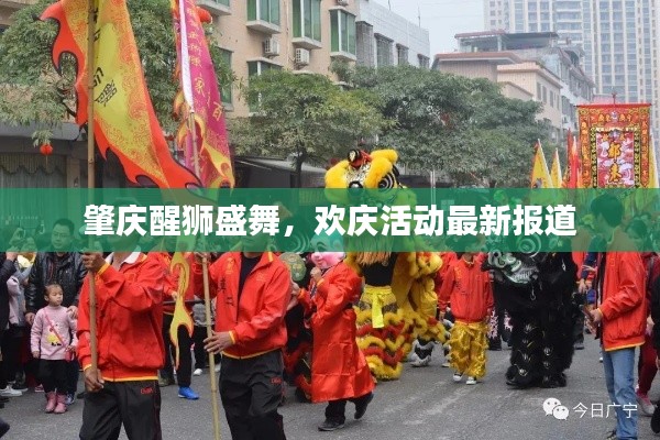 肇庆醒狮盛舞，欢庆活动最新报道